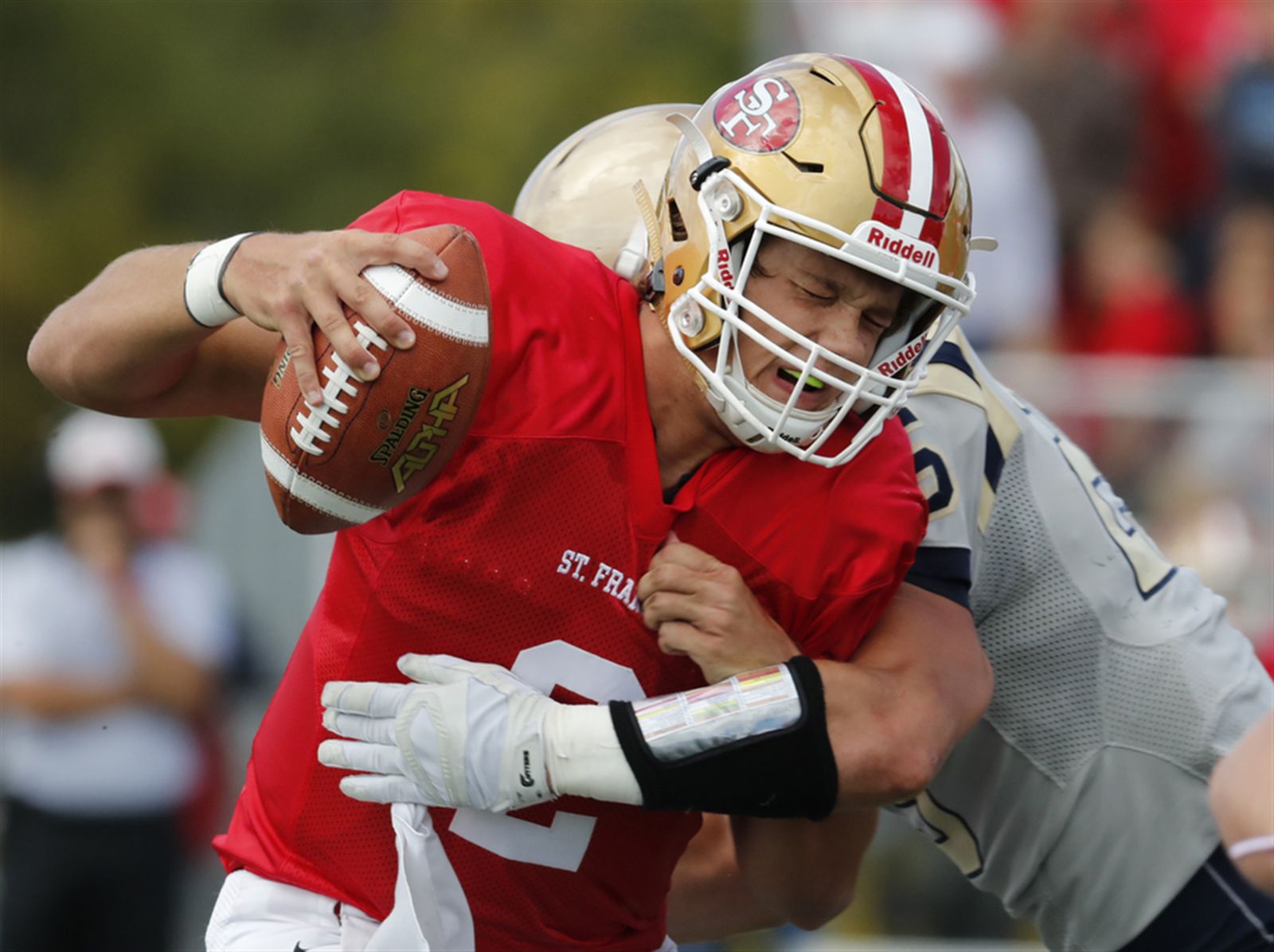 Canisius 55, St. Francis 13